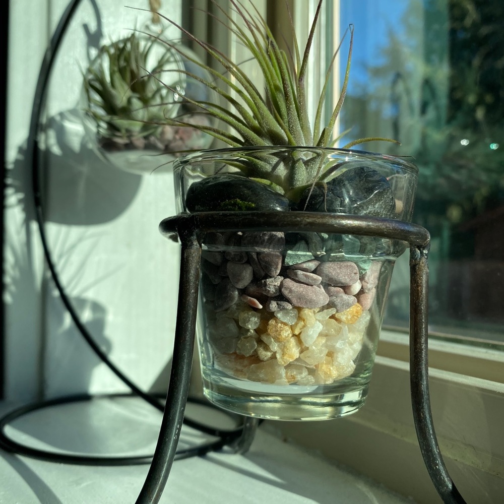 🪴Votive Terrarium Kit - Air Plant Included!🪴